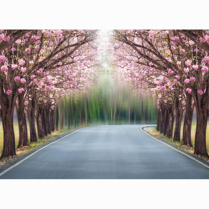 Фон для фотосъемки с изображением окна улицы пейзажа пляжа розового дерева цветов дорожек ландшафта фотостудии