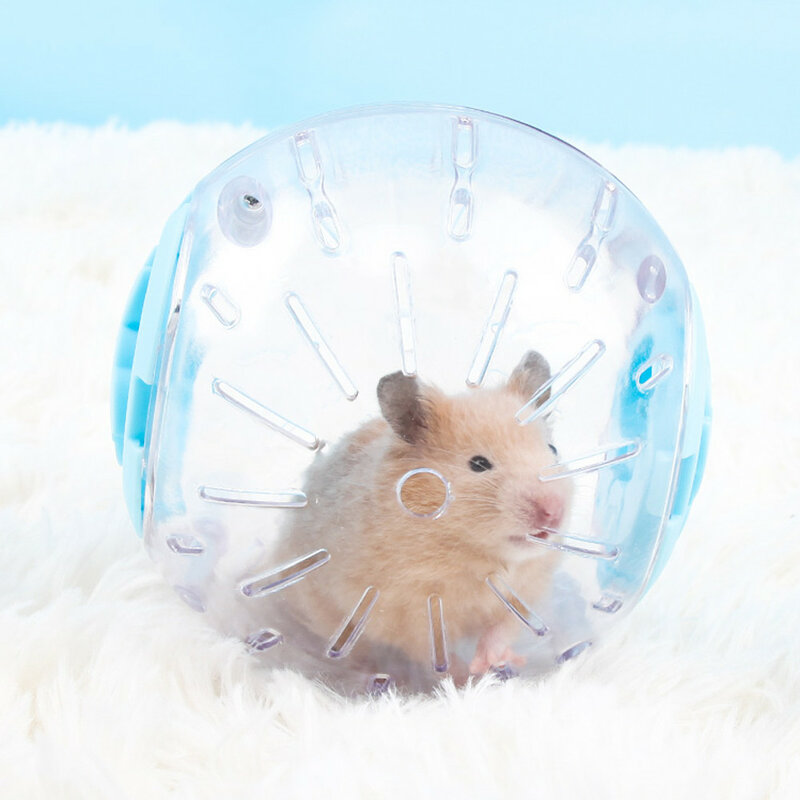 Bola Plastik Olahraga Luar Ruangan Grounder Tikus Peliharaan Kecil Mainan Bola Jogging Hamster Gerbil Bola Latihan Bermain Mainan Persediaan Hewan Peliharaan Kecil