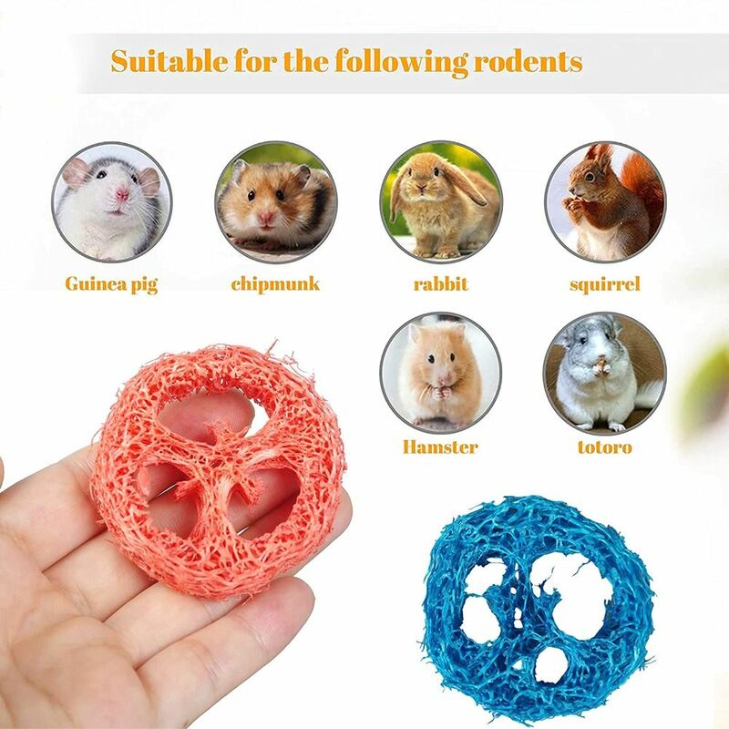 Chinchillas-10 piezas Loofah, juguete para masticar hámster Natural orgánico hecho a mano, suministros para mascotas, conejo, juguetes para masticar