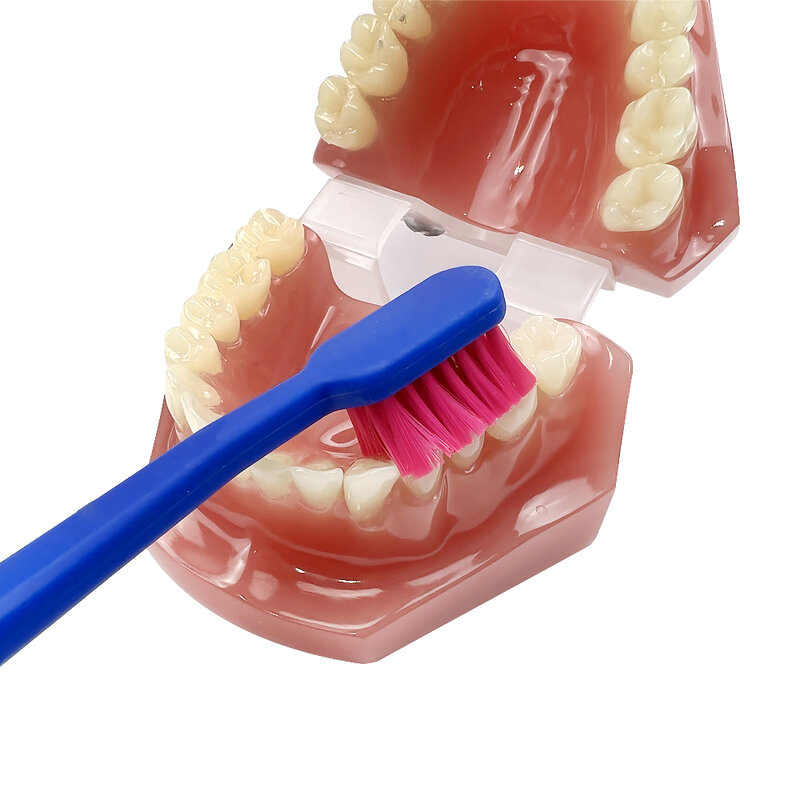 Ultra weiche Zahnbürste farbige Männer Frauen Erwachsenen Haushalt Zahnbürste kiefer ortho pä dische Zähne Bürste Mundhygiene für empfindlichen Zahnfleisch