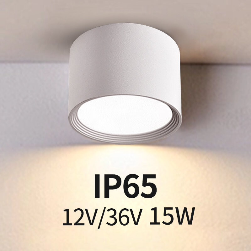 Luz descendente IP65 a prueba de agua, foco a prueba de salpicaduras, DC36V, 12V, para exteriores, balcón, tienda, puerta, hotel, pasillo, 15W