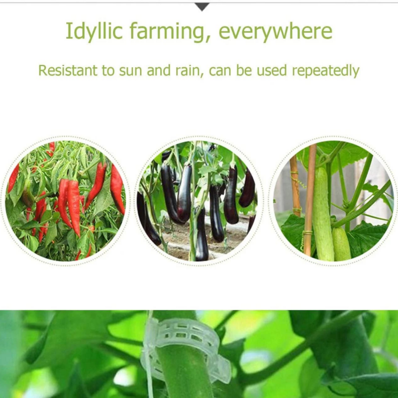 50 szt. Plastikowa roślina klipsy podtrzymują ochronę połączeń narzędzia do mocowania uprawy pomidorów warzywnych wielokrotnego użytku