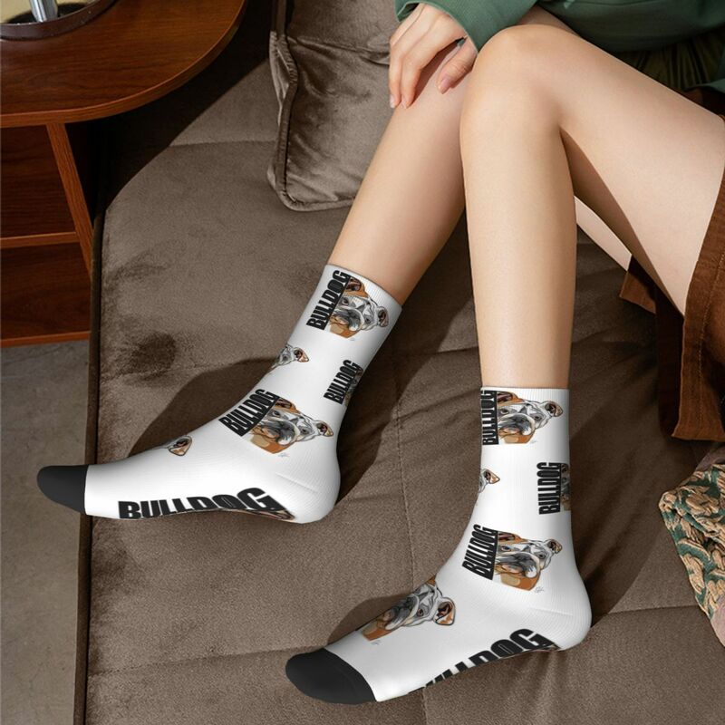Смешные носки с английским бульдогом собакой Харадзюку поглощающие пот чулки всесезонные длинные носки аксессуары для мужчин и женщин