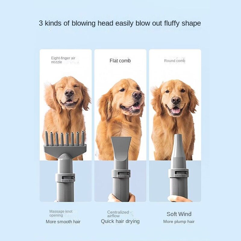 Secador de pelo rápido para perros y gatos, dispositivo de belleza de 2000W, con aire caliente, para perros pequeños, medianos y grandes
