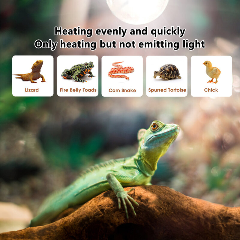 Bombilla de lámpara de calor para reptiles, 220V, 75W, preservación térmica, rayos infrarrojos de calor, bombillas de punto para reptiles, lámpara de serpiente para mascotas anfibios
