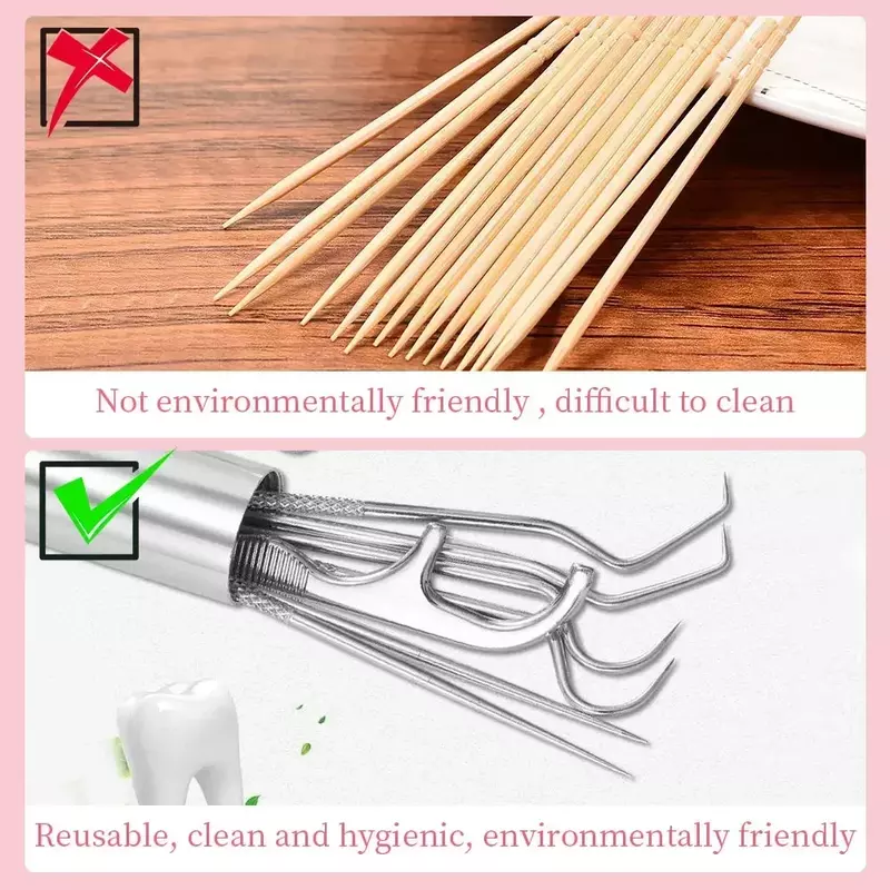 Aço inoxidável Toothpick Set com tubo de armazenamento, reutilizável Tooth Flossing Tool, remoção do tártaro, limpeza oral