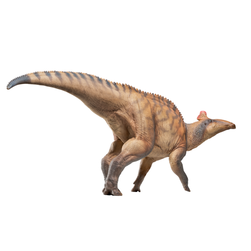 โมเดลไดโนเสาร์ยุคก่อนประวัติศาสตร์ pnso: 80 Zabad The Edmontosaurus
