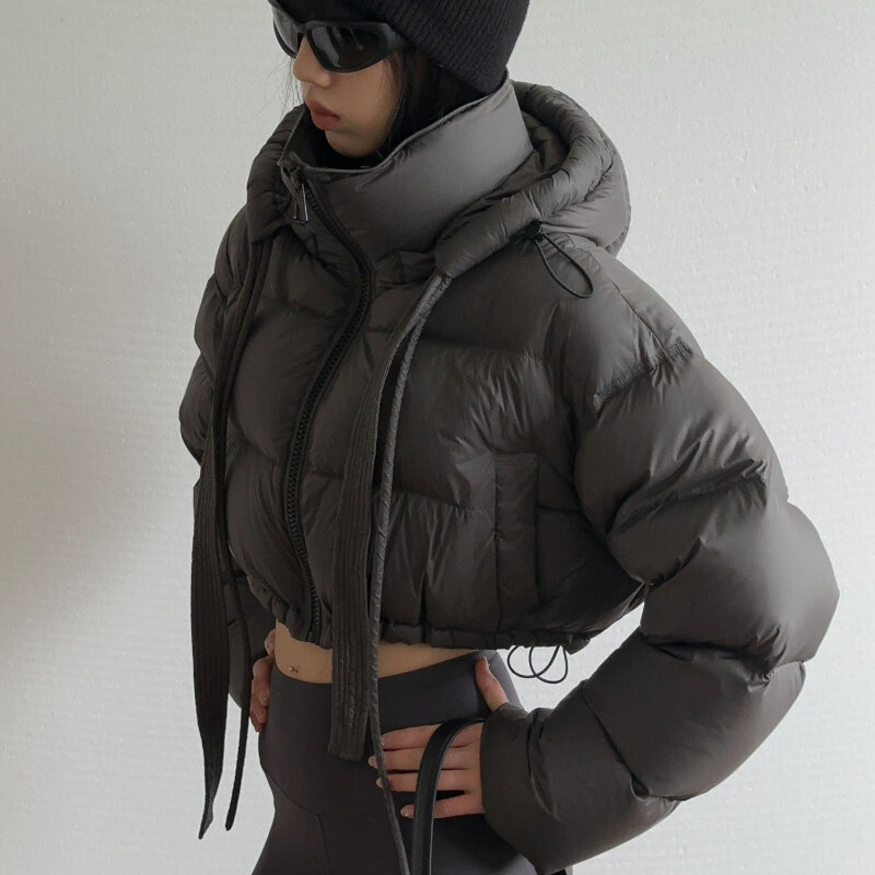 Hooded Parkas Women European Style Solid Simple Plus Velvet Thicker Short Jackets Chic Fashion Design Zipper Female Winter Wear