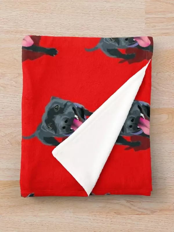 Staffy Smiling Staffordshire Bull Terrier Throw Blanket Blankets Sofas Of Decoration Luxury Designer Single Blankets