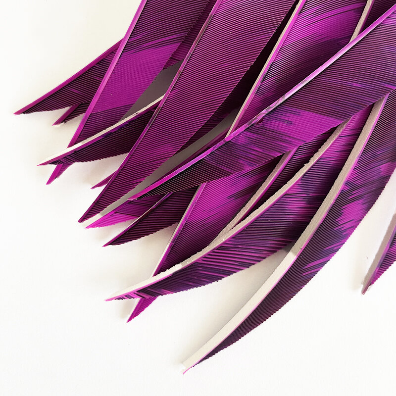 IBOUNFOX-Bouclier de plumes de flèche de dinde, aile droite, tir à l'arc, empennage, aubes de flèche, accessoires de chasse, 5 po, 50 pièces