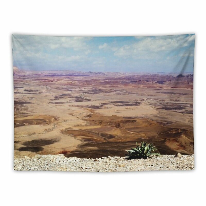 Israël, Mitzpe Ramon. Plante au cratère Ramon. Tapisserie Décorations de Chambre, Choses Esthétiques