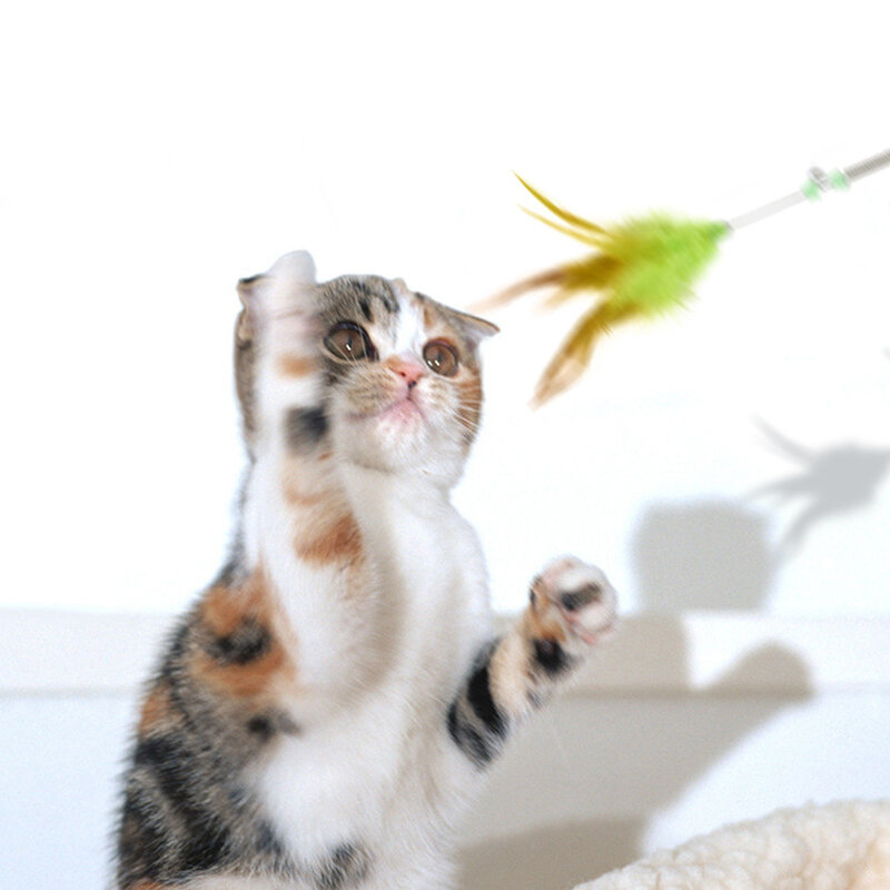 Funny Kitten Cat Teaser asta giocattolo interattiva con campana e giocattoli di piume per gatti Teaser Interactive Toy Rod Pet Cats Toys Stick