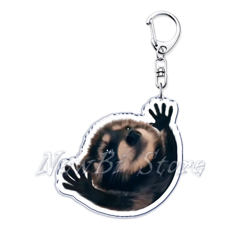 Cute Dancing Pedro Raccoon Meme Acrylic Keychains Ring for Accessories Bag Pendant Key Chain Jewelry Fans Gifts