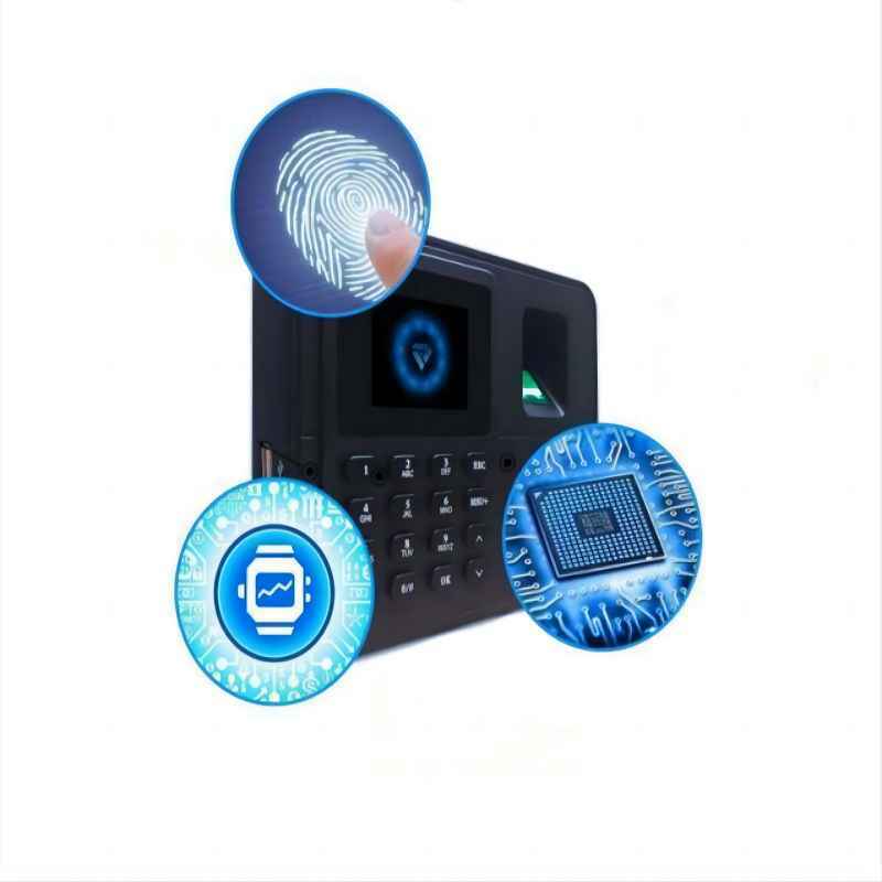 Q1 Fingerprint Attendance Machine Password Punch-in Apparatus  Automatically Generate U Disk Reports Electronic Sign-in Device