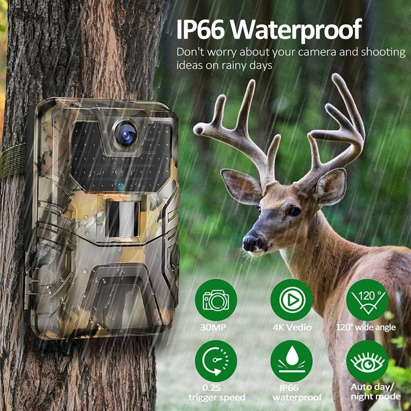 Waterproof Outdoor Trail Camera, No Glow Night Vision, Monitoramento da vida selvagem, Trap Game Cam, 2k, 120 Detection Range, 36MP, IP66