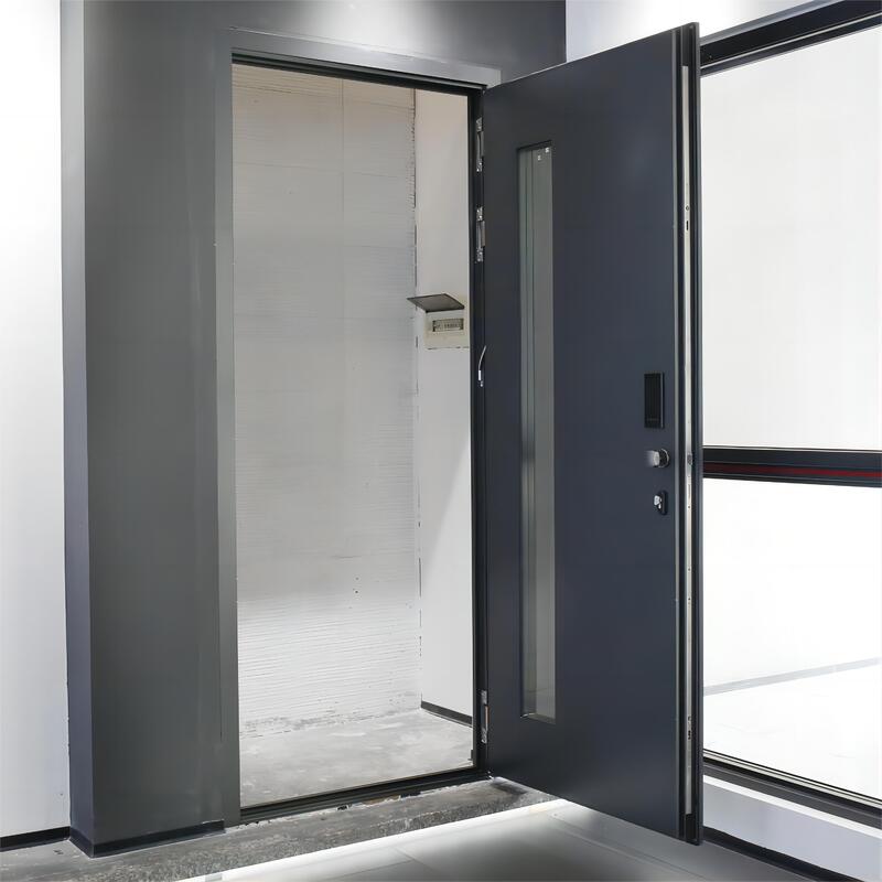 Sixinalu 알루미늄 합금 프로파일 외부 출입 문, 가정 안전 강철 문짝, 맞춤형 사이즈 색상
