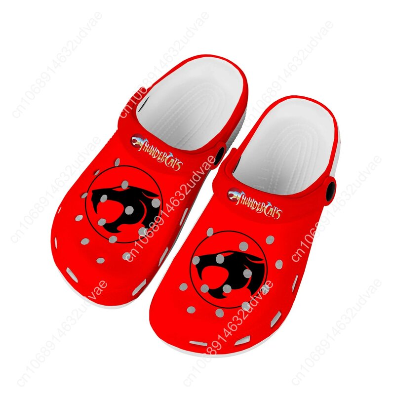 Cartoon Thundercats Home Clogs Custom Water Shoes Mens Womens Teenager Shoe Garden Clog Beach Hole Slipper Casual Slippers
