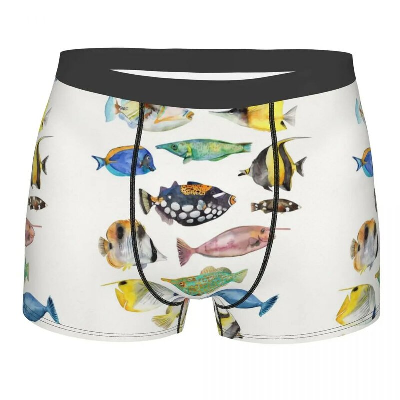 Various Colorful Tropical Fish Men's Boxer Briefs,Highly Breathable Underpants,High Quality 3D Print Shorts Gift Idea