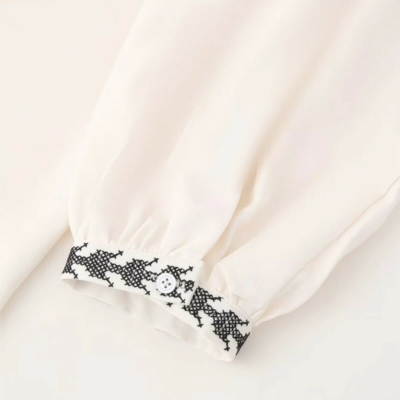 Blusa Lisa bordada con cuello en V para mujer, Blusa de manga larga con botonadura única, camisas informales elegantes, Tops 2024