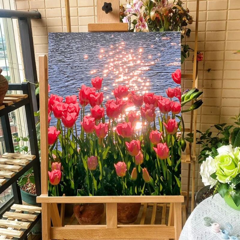 Kits de pintura a óleo digital para diy, pintura acrílica por números, tulipas, sol, flor, pintados à mão, diy