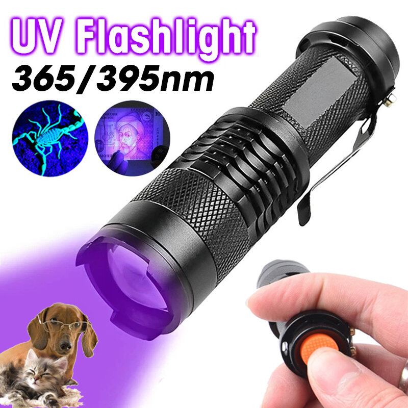 Mini lampe de poche LED UV, torche ultraviolette zoomable, clip portable, lumière noire, lampe d'inspection, outil de détection des taches d'urine animale, 395nm