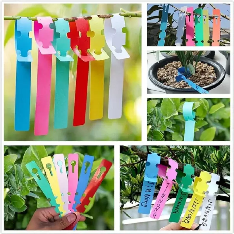 100pcs Plant Labels Tags Plastic Plant Hanging Tags Tree Flower Ornament Markers Waterproof Label Gardening Tools