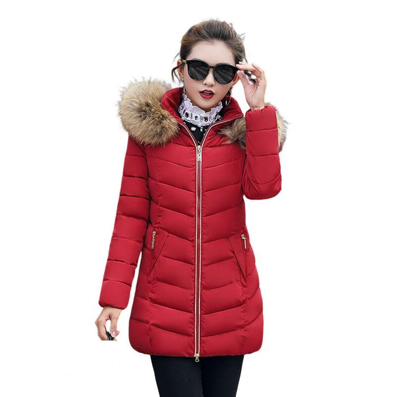 Comprimento médio casaco acolchoado algodão, chapéu peludo, borda zíper, mangas compridas, inverno