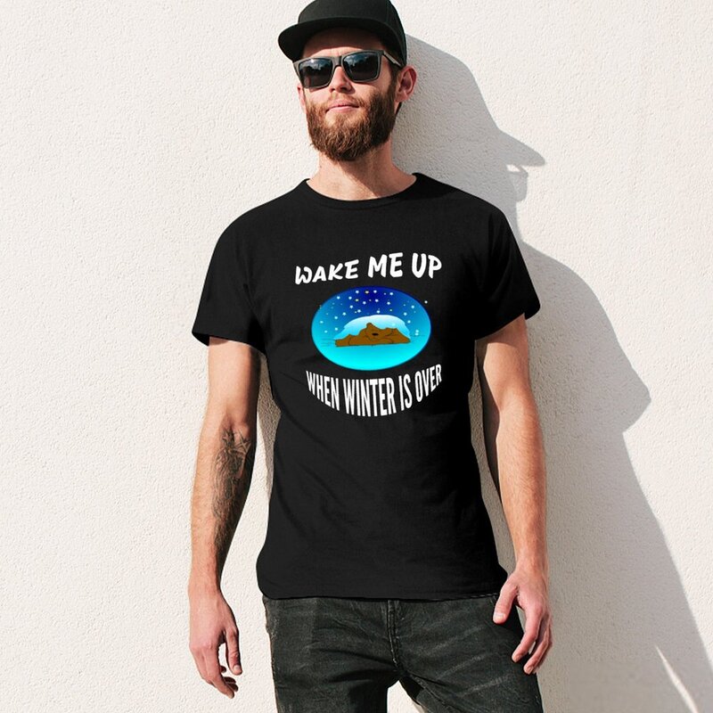 Wake Me Up When Winter is Over T-Shirt plain funnys mens t shirt