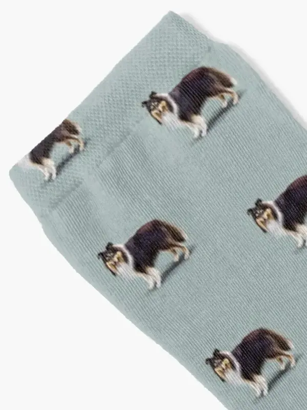 Tri Shetland Sheepdog Sheltie Socks anime kids calzini maschili da donna