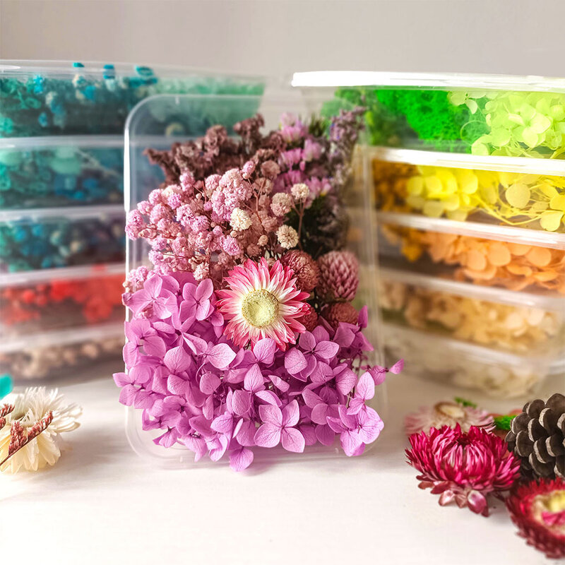 Bunga kering tanaman kering membuat kering untuk ponsel kasus lilin liontin perhiasan