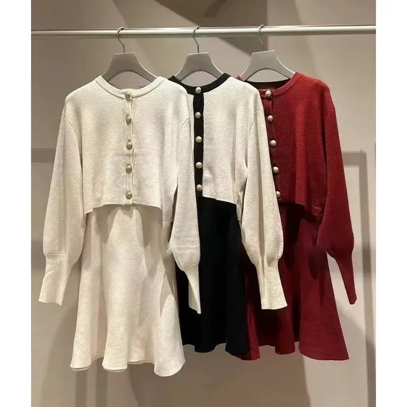 Комплект из двух предметов с юбкой в японском стиле, элегантный свитер на пуговицах с круглым вырезом и длинными рукавами-фонариками и универсальная Однотонная юбка-трапеция, осень 2024