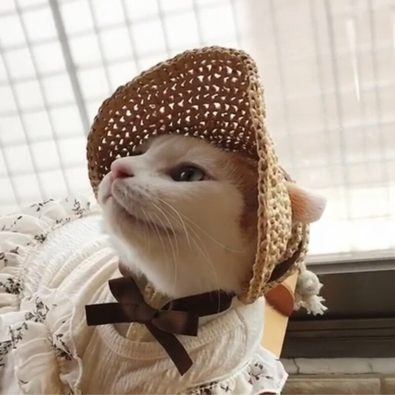 Новинка 2023, летняя Солнцезащитная шляпа для кошек и собак, милый кружевной шарф для домашних животных, костюм из двух частей