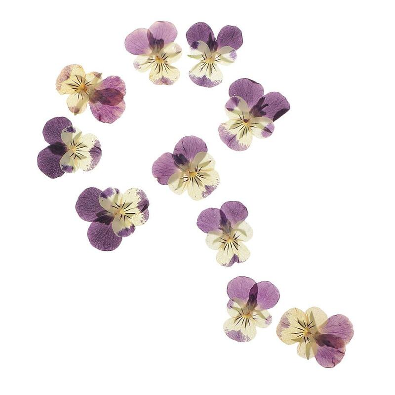 10 Dried Pansy Flower Embellishment resin Pendant Jewelry Craft