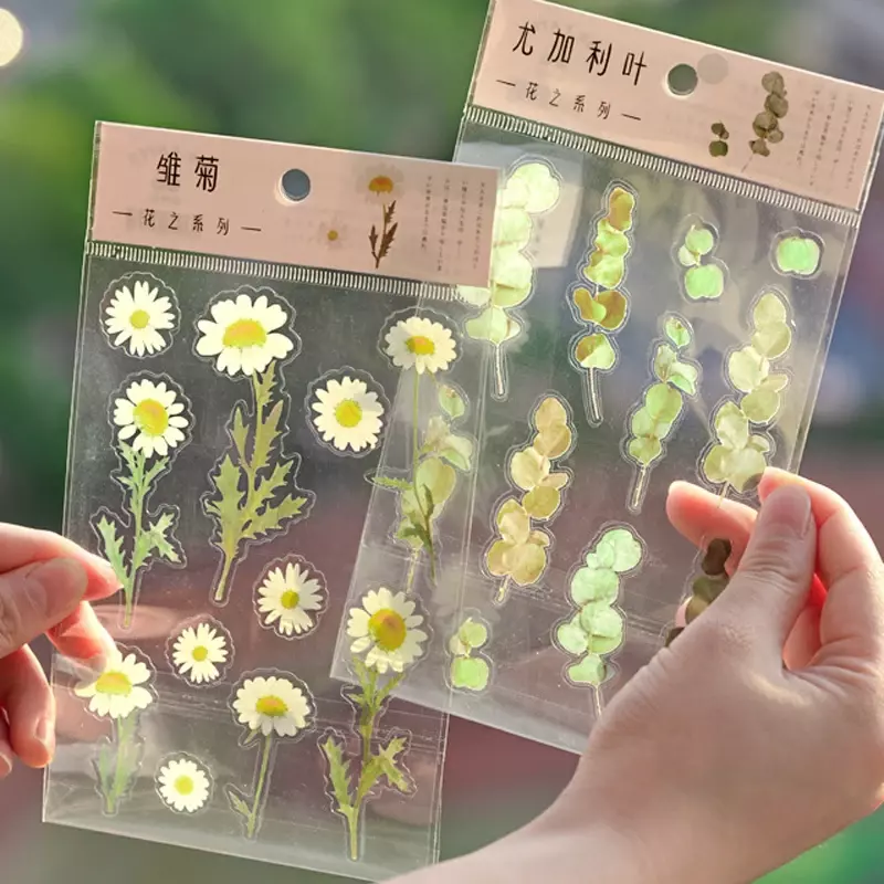 Pegatinas de palabras japonesas de trébol de Margarita Natural, Material transparente para mascotas, flores, hojas y plantas, 6 diseños