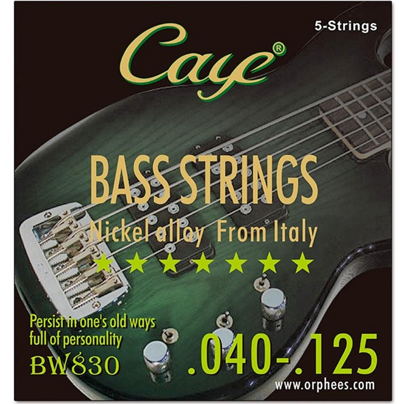 CAYE-Baixo Elétrico Cordas Conjunto, Núcleo de Aço Hexagonal, Fio Exterior de Aço Inoxidável, Bass Guitar String, 4 Pcs, 5 Pcs, 6Pcs