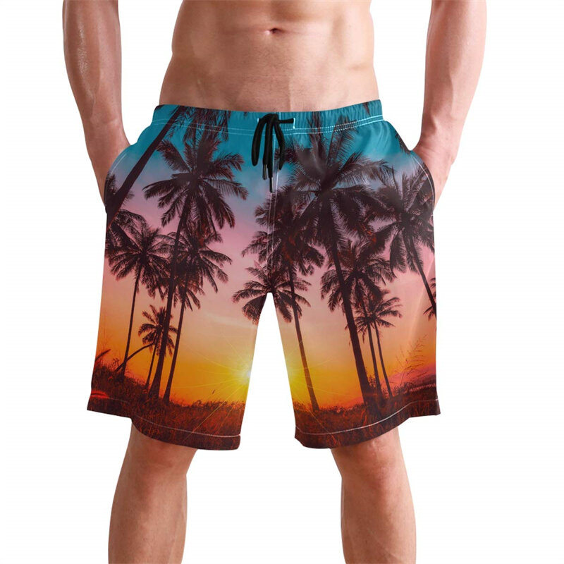 Summer Men Hawaii Beach Shorts Casual Cool Board Shorts 3D Printed Tropics Swimsuit Male Swim Trunks Ropa Hombre Ice Short Pants