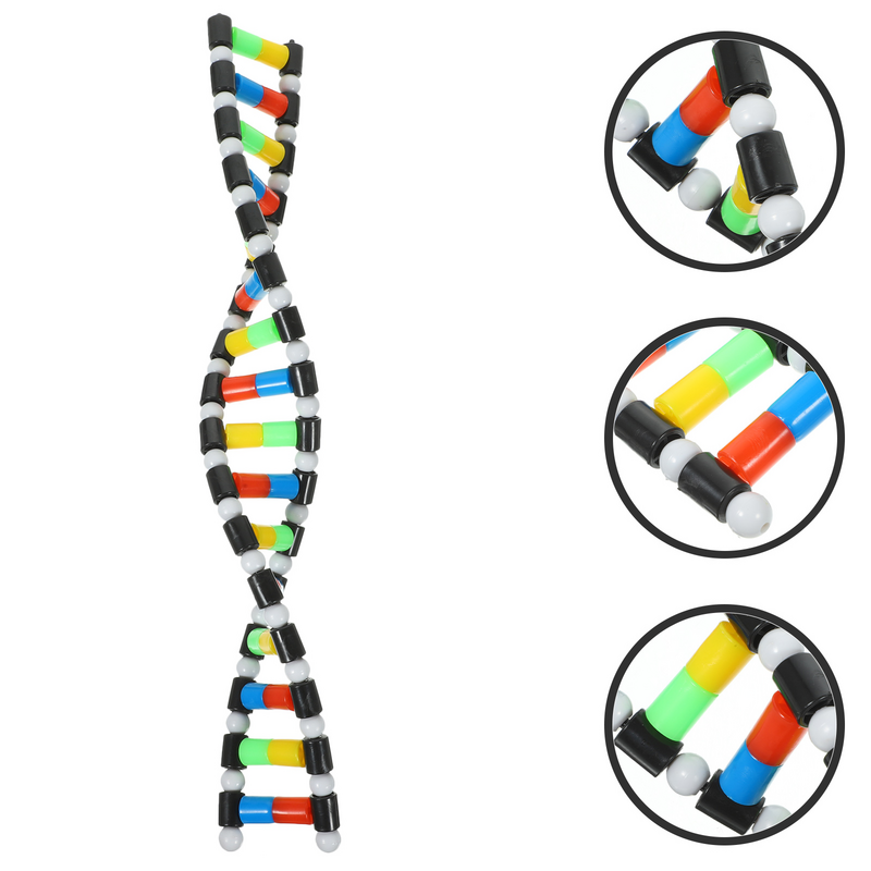 ชุดของขวัญโมเดลเกลียวคู่อุปกรณ์วิทยาศาสตร์ดีเอ็นเอของขวัญตกแต่งห้องเรียนชุดของขวัญโมเลกุล