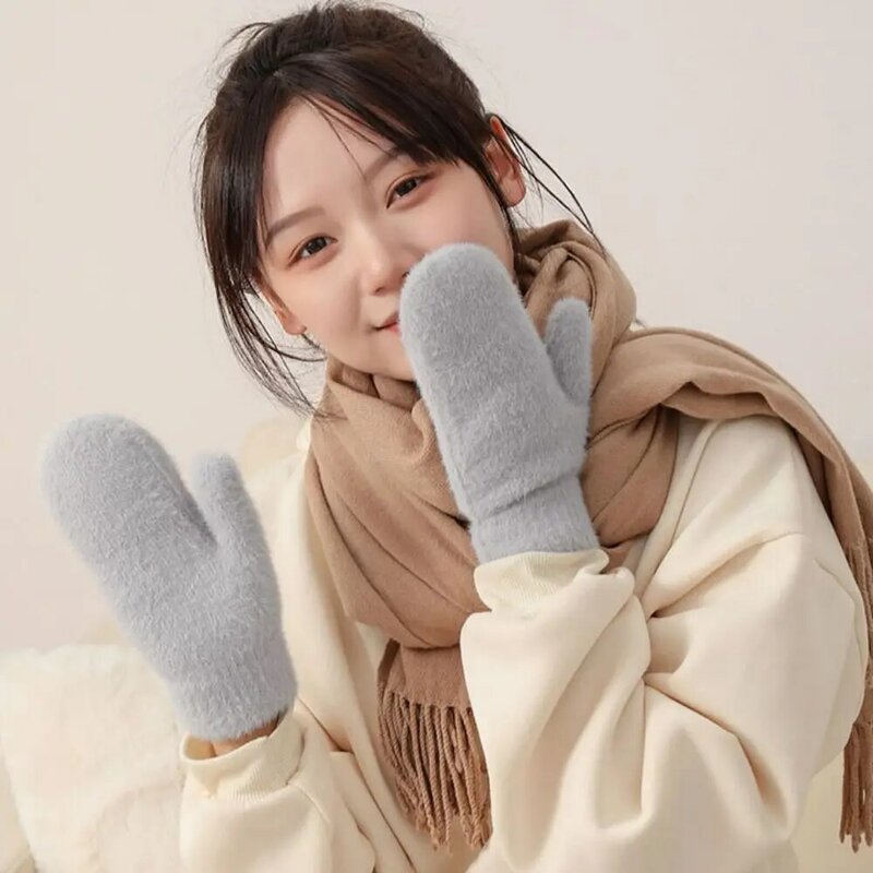 Donzige Winterhandschoenen Verdikte Dubbelzijdige Warme Fleece Handschoenen Effen Kleur Fluwelen Pluche Handschoenen Vrouwen