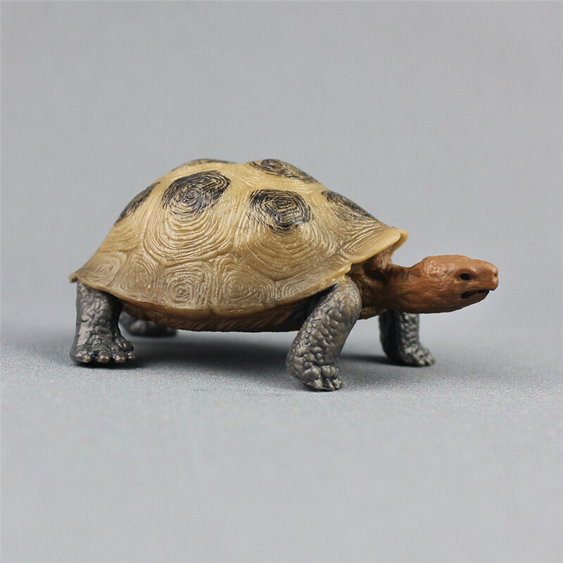 Nuova simulazione tartaruga Figurine ornamenti animale selvatico tartaruga marina Tortoise Action Figures Home Office Desk ornamento decorativo giocattolo