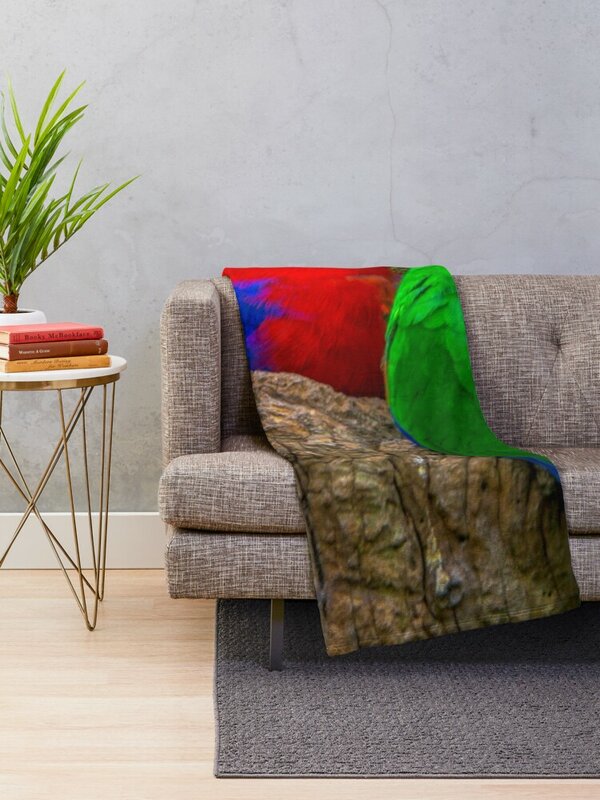 Eclectus الببغاوات رمي بطانية ، بطانية المرجحة ، منقوشة على أريكة