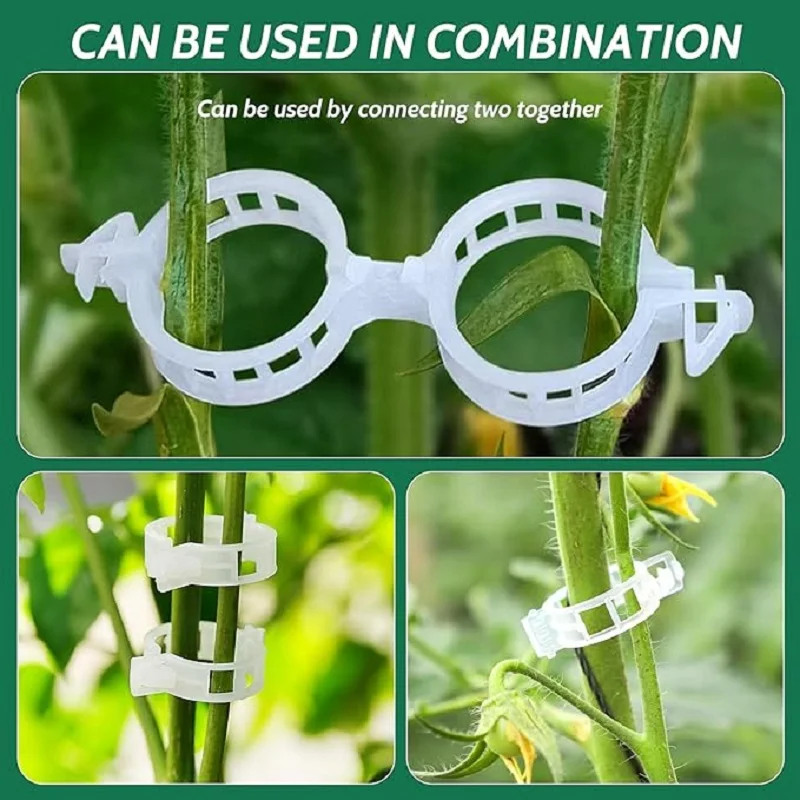 50 Stück Pflanzenreben-Stütz clips, wieder verwendbare Kunststoff-Garten clips Stütz clips für Kletter pflanzen Gurken Paprika Gemüse