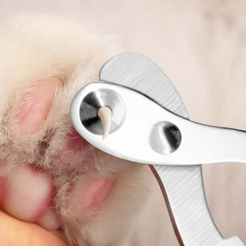กรรไกรเสริมสวยสำหรับสัตว์เลี้ยงสำหรับลูกสุนัขอุปกรณ์เสริมสำหรับแมวกรรไกรตัดเล็บระดับมืออาชีพ
