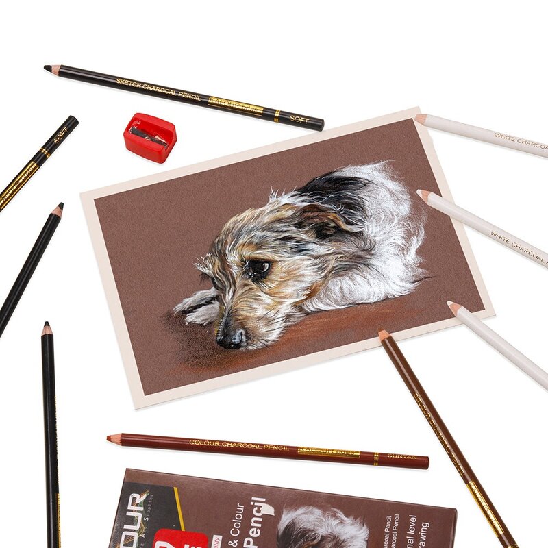 KALOUR Colored Charcoal Pencils Set, Professional 6/12 Pcs Pastel Chalk Drawing Kit for Sketching Shading Blending Portrait Art