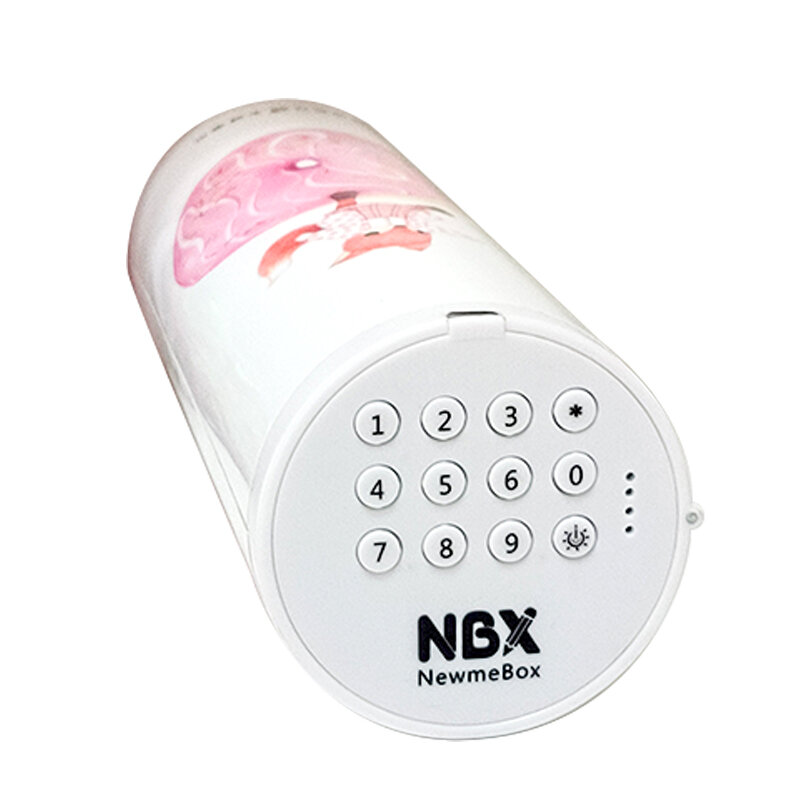 Newmebox 암호 연필 케이스, 만화 패턴 펜 홀더, 대용량 문구 상자, 코드 잠금, 가정 사무실 학교 보관 가방