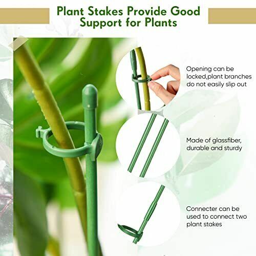 Soporte ajustable para plantas de 5 piezas, protección reutilizable, soporte para macetas de flores, soporte para estaca, herramienta de fijación, suministros para bonsái