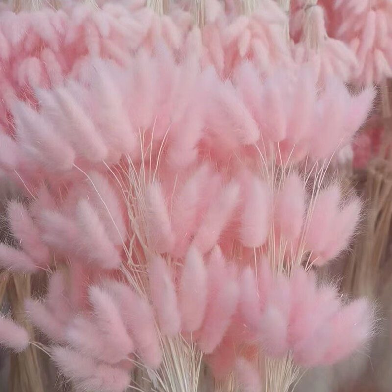 Сушеные цветы из травы кролика, 30 шт., 45 см