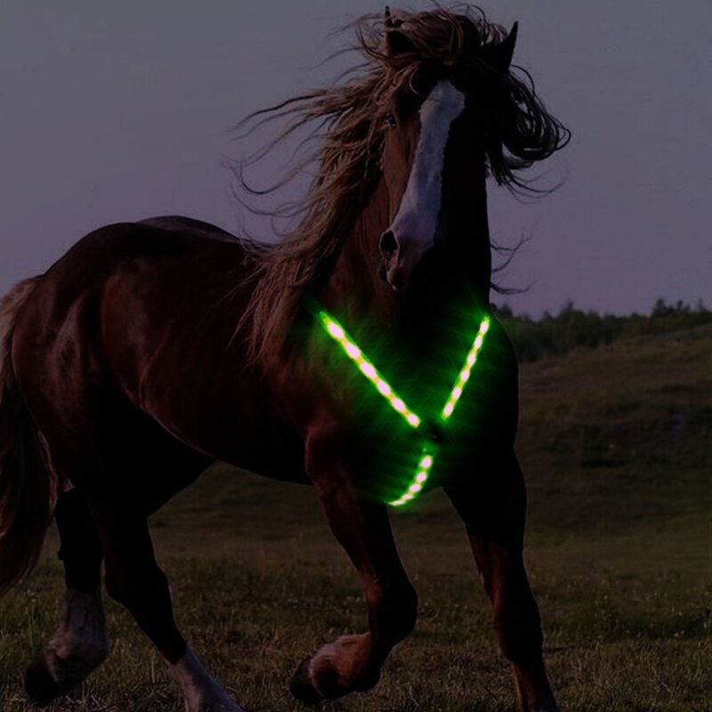 Horse Webbing Harness Collar Breastplate Adjustable Night Visible LED Light Chest Belt Safe Riding Equipment
