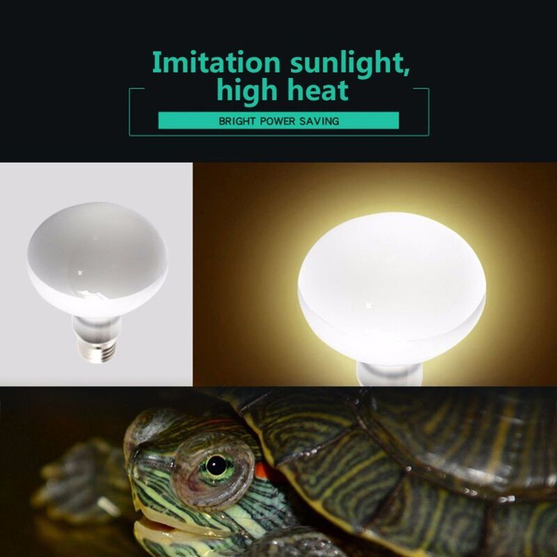 Lampe chauffante pour lézard, lampe chauffante pour reptile, lumière UVA pour se prélasser, ampoule halogène