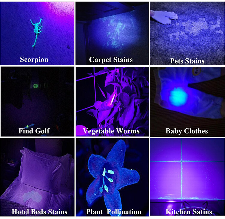 Lampe de poche UV 21/51/100 LED, 395nm, torche ultraviolette, détecteur de lumière noire pour animaux de compagnie secs, Urine, Bug SAF