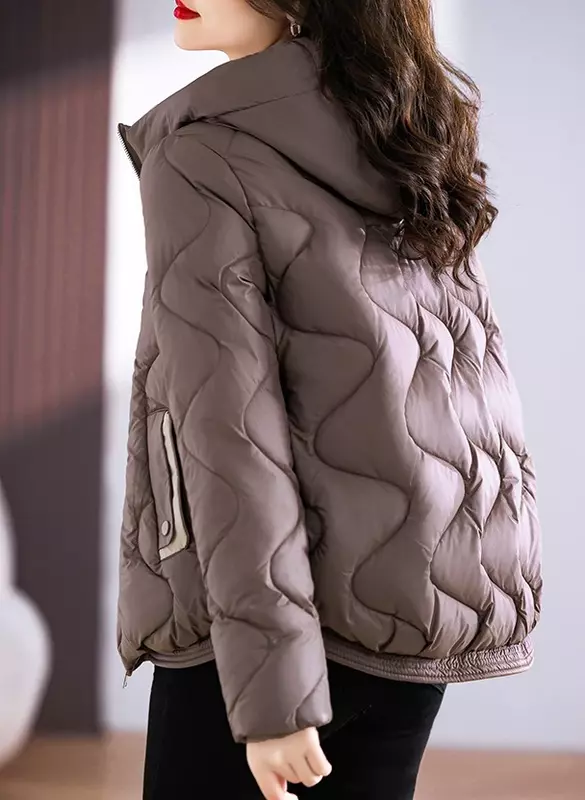 Winter Jacket Women 2023 New Outerwear Korean Clothes Women Coat Hooded Cotton Parkas Harajuku Ladies Quilted Coat Streetwear
